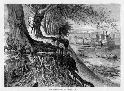 「オーガスタのサバンナ」、19 世紀 作： Frederick William Quartley