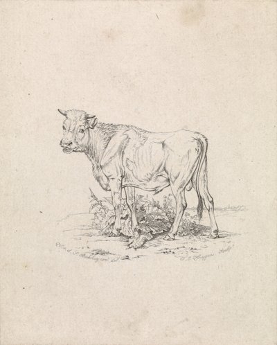 トレイル 作： Frederik Lodewijk Huygens