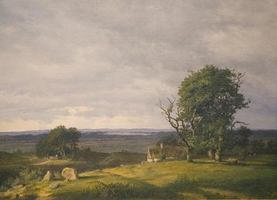 エスロメグネンからの風景 作： Frederik Rohde