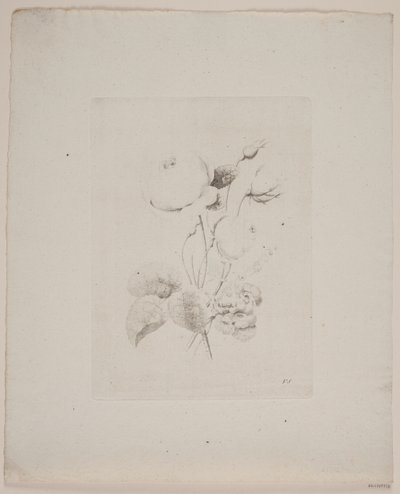 花のモチーフ 作： Frederik Schepelern
