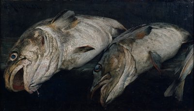 タラ 作： Fredrik Kolstoe