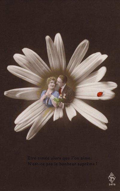 テントウムシと花の中心にいる若いカップル（色付きのフォトコラージュ） 作： French Photographer
