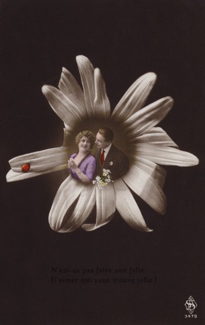テントウムシと花の中心にいる若いカップル（色付きのフォトコラージュ） 作： French Photographer