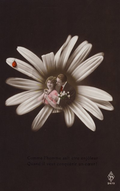 テントウムシと花の中心にいる若いカップル（色付きのフォトコラージュ） 作： French Photographer
