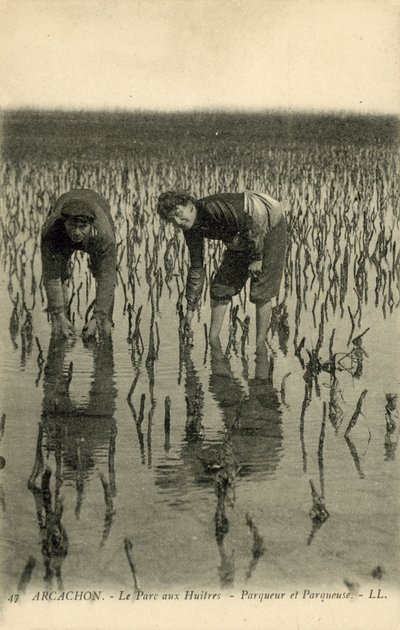 アルカション、オイスターパーク 作： French Photographer