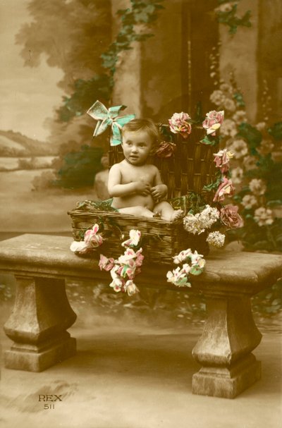 かごの中の赤ちゃん 作： French Photographer