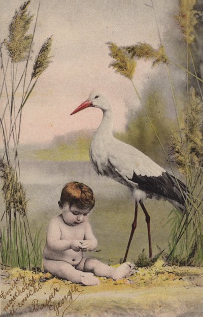 コウノトリと赤ちゃん 作： French Photographer