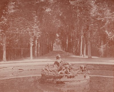 ベルサイユ公園「フローラの盆地」（モノクロ写真 作： French Photographer