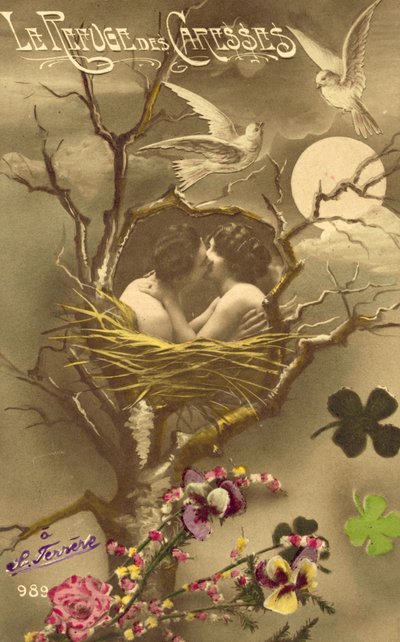 鳥の巣の中で抱き合うカップル（カラー写真 作： French Photographer