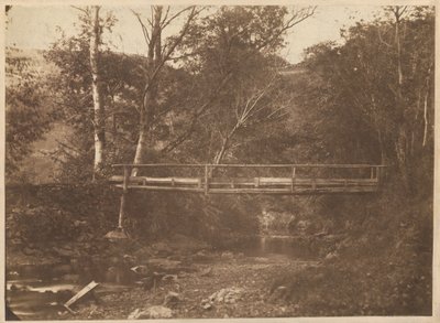 樹木と橋のある風景,c.1850年（写真） 作： フランスの写真家