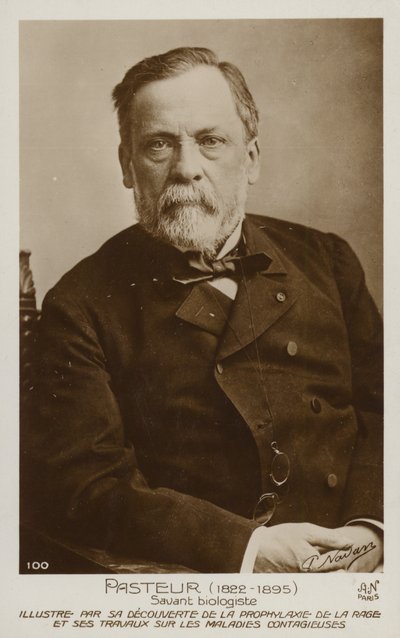 ルイパスツール（1822-1895）、フランスの化学者および微生物学者 作： French Photographer