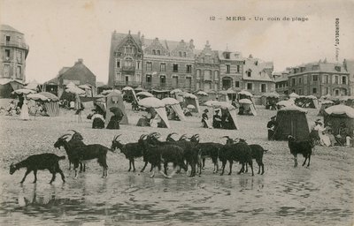 Mers-ビーチの一部。 1913年に送られたはがき。 作： French Photographer