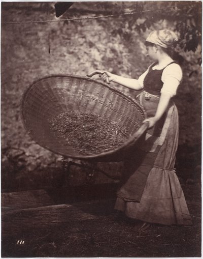 ふるい分けバスケットを持つ農民の女性 作： French Photographer