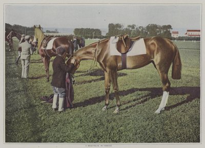 フランス・ドーヴィルの競走馬たち（カラー写真 作： French Photographer