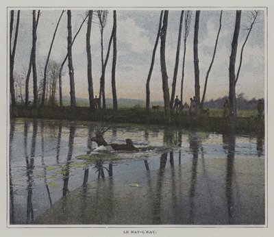 狩りから逃れるために泳ぐ雄鹿（カラー写真 作： French Photographer