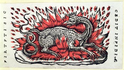 サラマンダー、16世紀前半 作： French School
