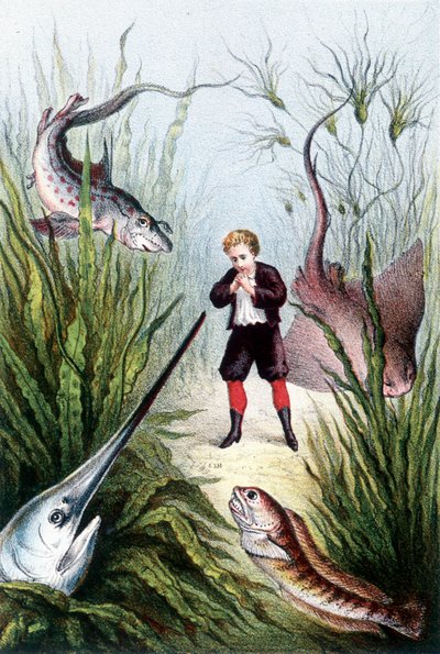 巨大な魚に囲まれた少年 - H. ド・ラ・ブランシェール著『海の底への旅』所収。Paris, ed.Jouvet et Cie, sd.1880.(double 02941) 作： French School