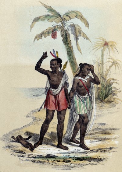 M.E.Fouinetの "Les twelve Nations "に描かれたMarquisesのためのイラストです。 作： French School