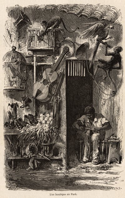1858-1859年にビアード氏がブラジルを旅行した際に描かれたパラの店。1861年の "Le tour du monde "に掲載された版画。セルバのコレクション。 作： French School