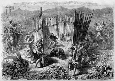 1862年、ジャワ島で行われた虎狩りの様子。1862年2月1日付「Le Monde Illustré」251号に掲載された図版。 作： French School