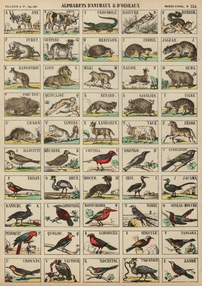 動物や鳥のAからZ 作： French School