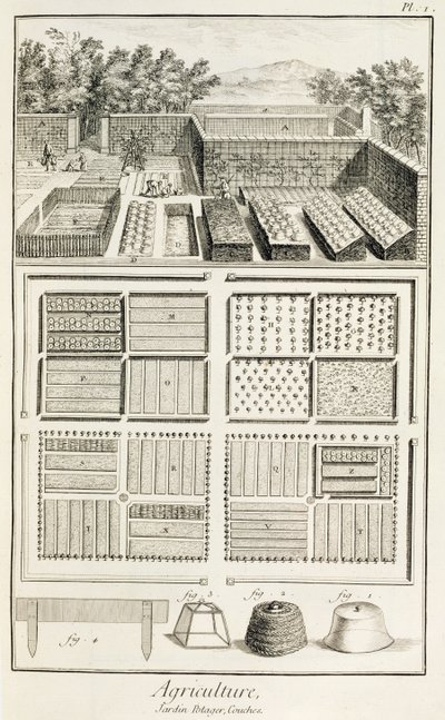 デニスディドロの科学、芸術、工学百科事典（1713-84）、c.1770の菜園 作： French School