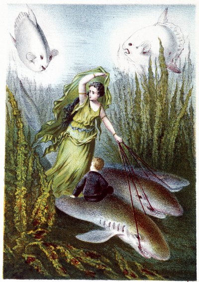 サメに乗って巨大魚から逃げる女性と少年 - H・ド・ラ・ブランシェール著『海の底への旅』所収。Paris, ed.Jouvet et Cie, sd.1880. 作： French School