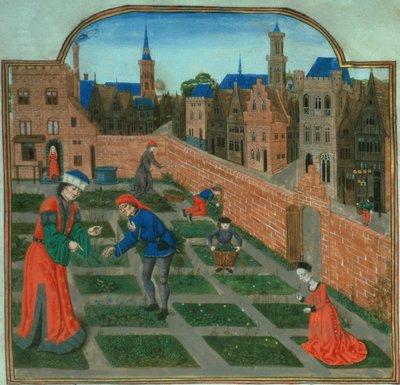 追加 19720 f.165 Pietro de Crescenzi (1230-1320) 作「Livre des Profits Ruraux」より、壁に囲まれた町の庭 (ベラム) 作： French School