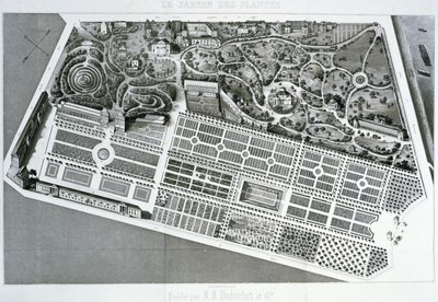 パリの植物園の計画の航空写真、1842年 作： French School