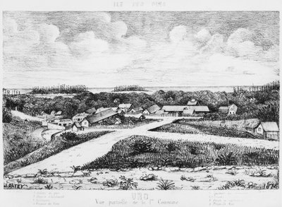 パイロ島のアルバム、ウロ、1878〜79年 作： French School