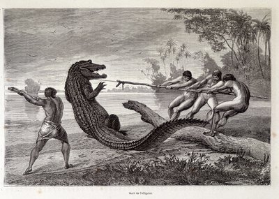 ワニ狩り（ブラジル）、「世界一周」第2週1874年 作： French School