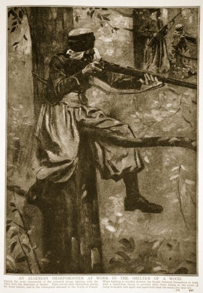 森の避難所で働いているアルジェリアの狙撃兵、1914年〜19年 作： French School