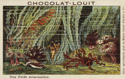 2000年の水中の森 作： French School
