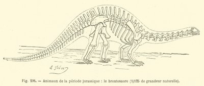 ジュラ紀の動物、ブロントサウルス（彫刻作品 作： French School