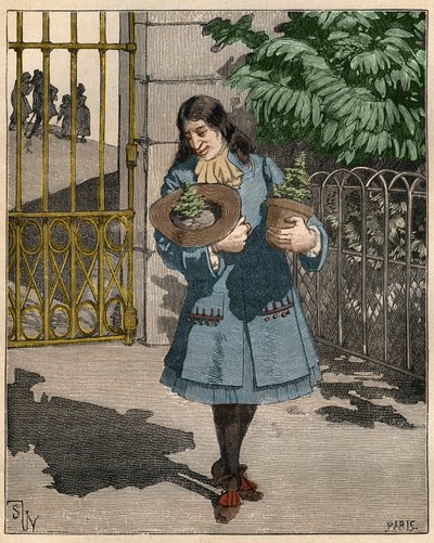 ベルナール・ド・ジュシュー（1699-1777）は、1734年にイギリスからレバノン産の2本のセドルを持ち込んだフランスの植物学者。Adolphe BITARDの "Les arts et metiers illustres "に掲載された1885年のエングレーヴィング。 作： French School
