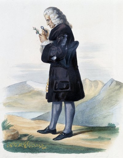 ベルナール・ド・ジュシュー（Ed. Mennechet, "Le Plutarque francais "にて）。 作： French School