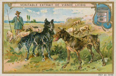 ボーダーコリーと牧羊犬 作： French School