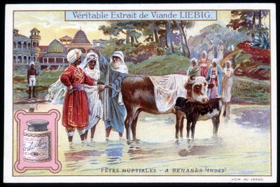 インド・ベナレスのブライダル・フィースト - chromo.リービッヒ、V.1895 作： French School