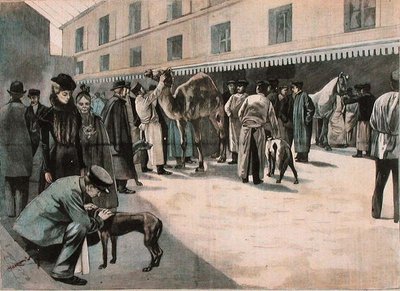 アルフォール国立獣医学校でのラクダの世話（1898-99年頃）（彩色画 作： French School
