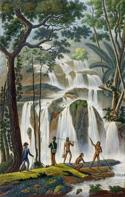 1822年、1823年、1824年、1825年にラコキールのラコルベットデサマジェストで王の騎士団によってルイスイシドールデュプによって実行された、世界一周航海からのポートプラランのカスケード（ニューアイルランド） 作： French School