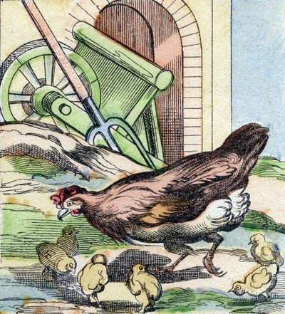 ニワトリとヒヨコ。Buffon Alphabet des Oiseaux n 2 "に掲載されているエングレーヴィング。3rd Serie N 2.エピナルの画像化、エピナル、19世紀後半。16ページ。ディム：28x21cm 作： French School