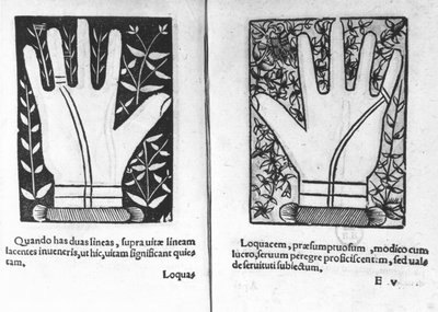 Chiromantic Hands、Chiromatiae Principiisのイラスト... Bartolommeo della Rocca（Cocles）によるアナスタシス1467-1504）1555 作： French School
