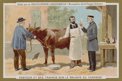 Chocolat dAiguebelleトレードカード 作： French School