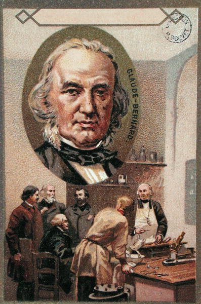 クロード・ベルナール（1813-78）（クロモリト） 作： French School