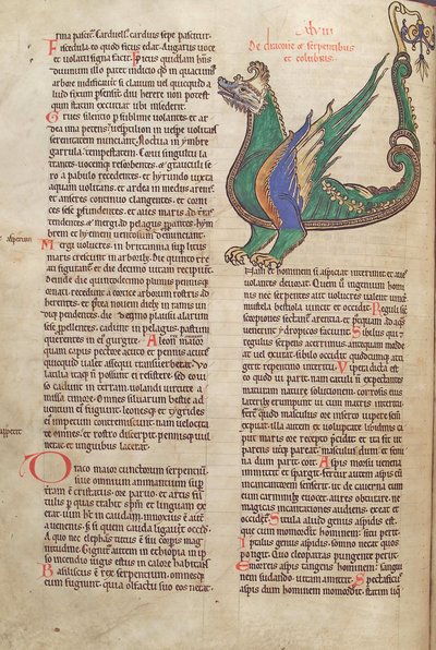 タラ。グエルフ。 1 Gud。緯度。ランベルトドサントメールc.1120によるLiber Floridusからの40v、ドラゴンのイラスト付きテキスト 作： French School