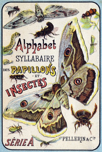 Syllabary alphabet of butterflies and insects"(蝶と昆虫の五十音順アルファベット)の表紙。19世紀末、エピナルの印刷出版社、Serie A. Pellerin et Cie。クロモリトグラフ。8ページの小さな広告アルバムで、五十音図とイメージ図に説明文が添えられている。D 作： French School