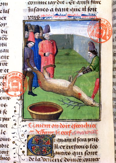 Gaston Phebus de Foix（1331-91）によるLivre de la Chasseからの死んだクワガタの足の切断 作： French School