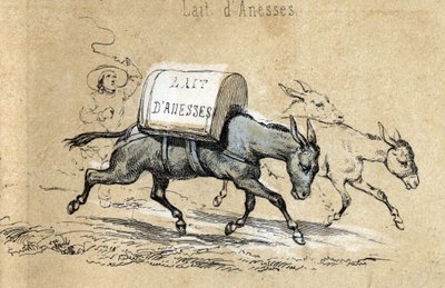 ロバの様々な製品と用途についての説明：ダネースのミルクの荷物を運ぶロバ。Les Recreations instructives "に掲載された "ロバとその製品 "の詳細 ジュール・デルブリュックによる共観的絵画、1860年のエングレーヴィング。プライベート 作： French School