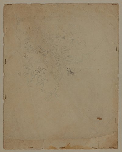 デザイン画、18世紀後半 作： French School