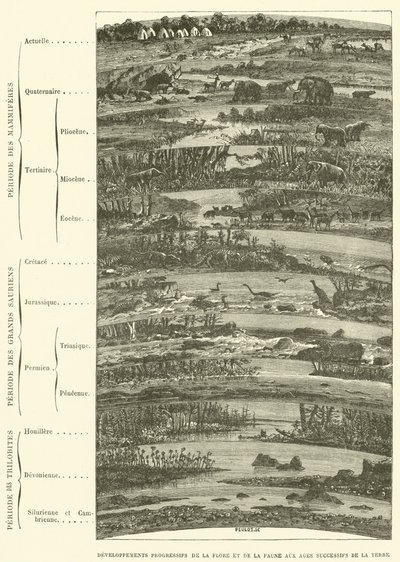 地球の歴代の時代における動植物の発展（彫刻作品 作： French School
